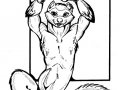 Ferret.jpg